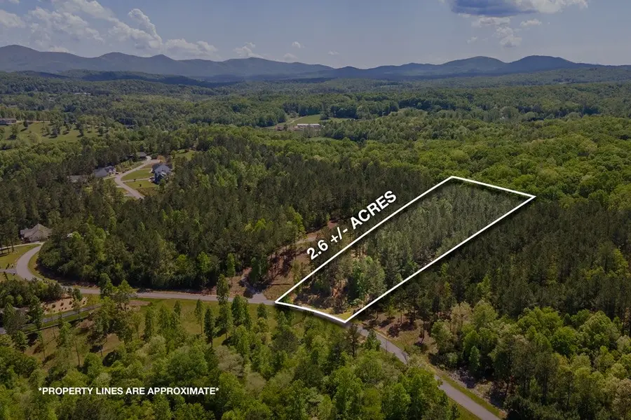 Lot 132 Sandy Lake Lane, Blairsville, GA 30512 - Image #3