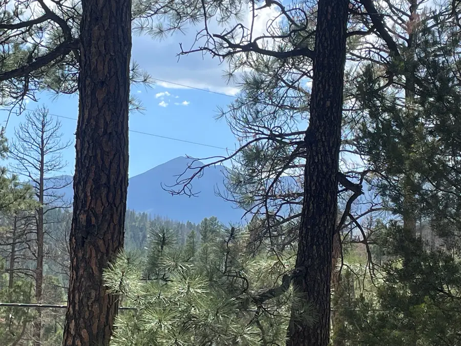 165 Brentwood Drive, Alto, NM 88312 - #3