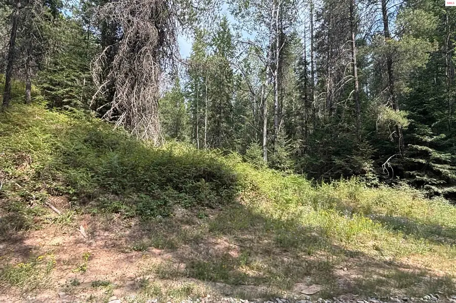 Lot 14 Ridge Way, Sandpoint, ID 83864 - #2