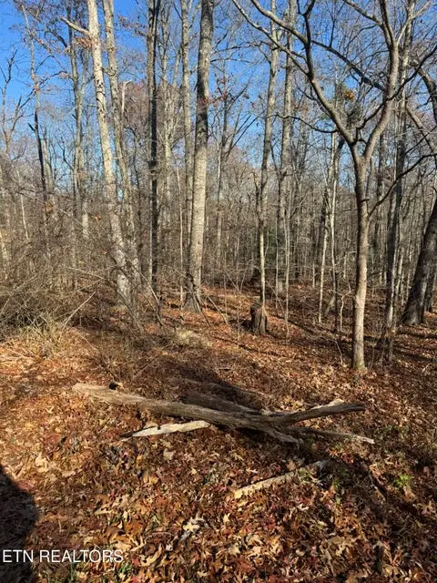 621 Catawba Lane, Crossville, TN 38572 - Image #1