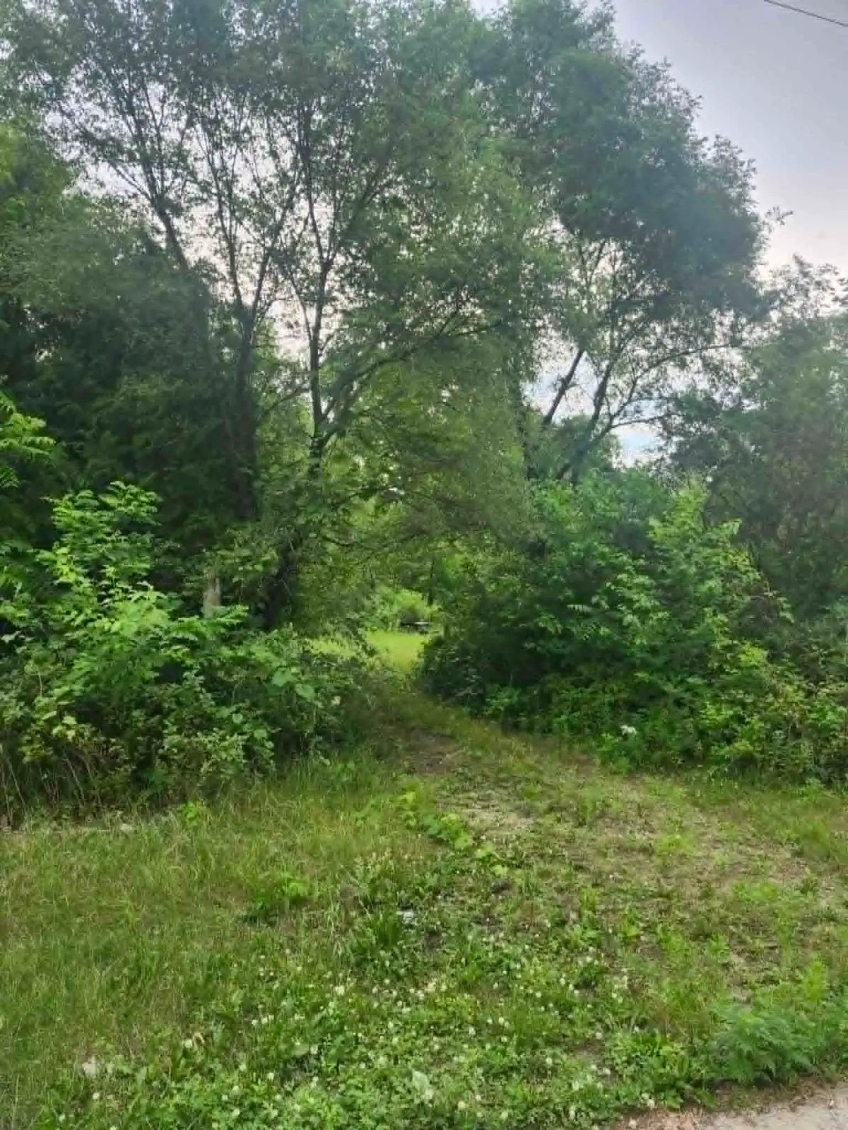 S12704 County Line Road Road, Lone Rock, WI 53556 - #1