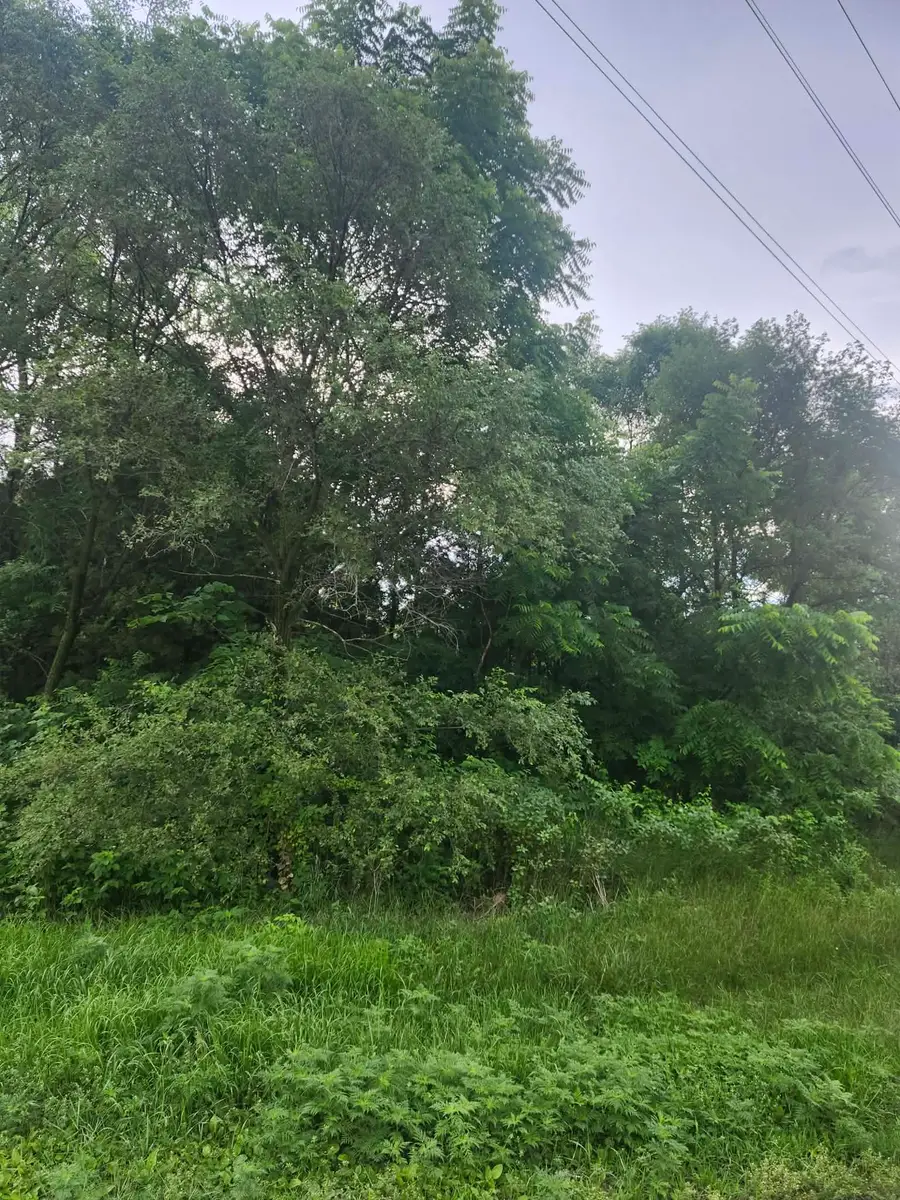 S12704 County Line Road Road, Lone Rock, WI 53556 - #2