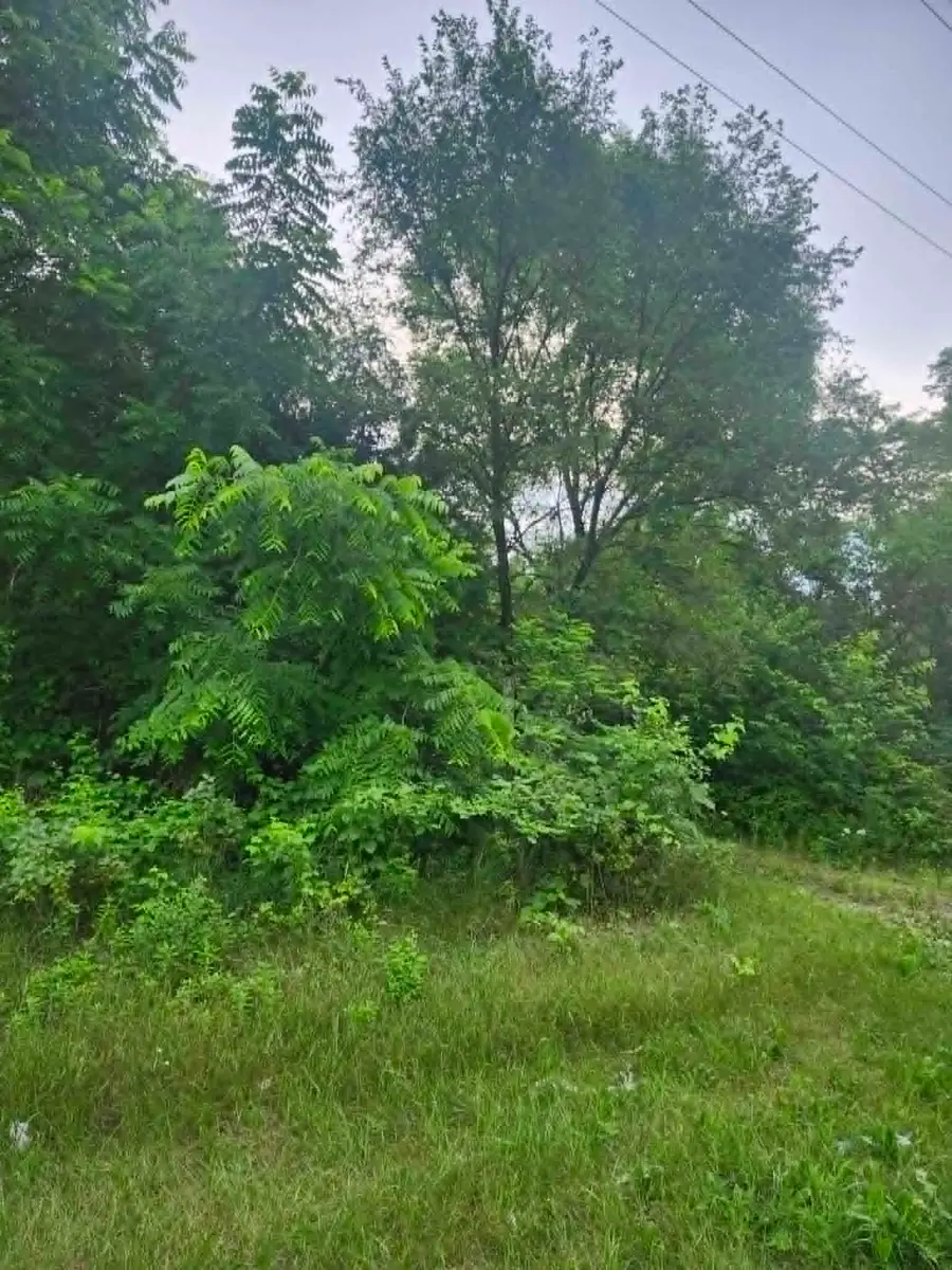 S12704 County Line Road Road, Lone Rock, WI 53556 - #3