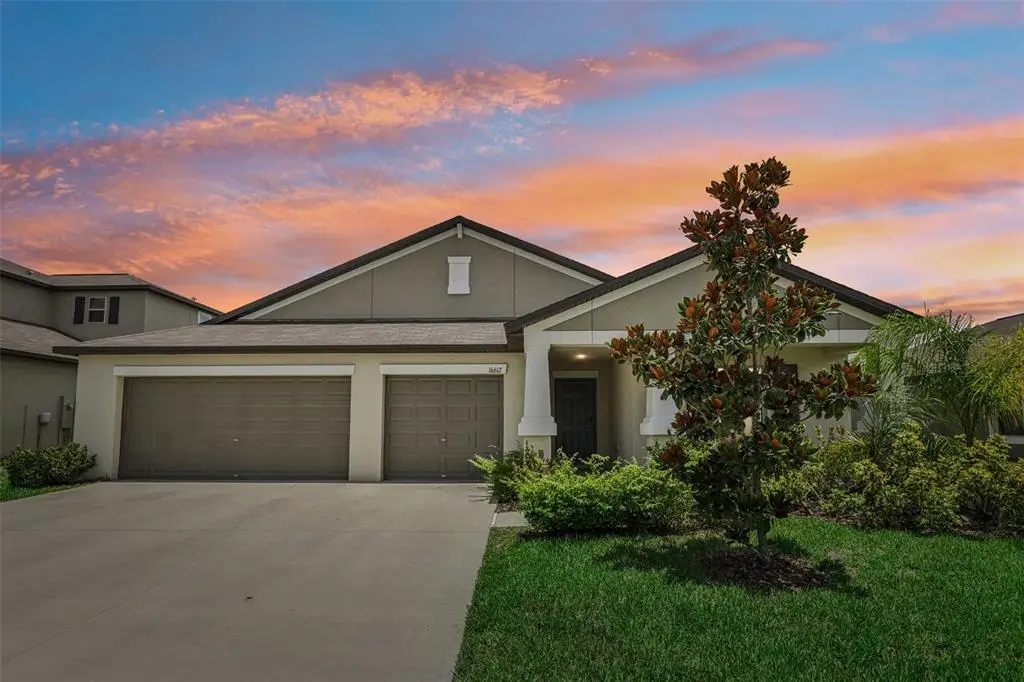16612 Carlton Pond Street, Wimauma, FL 33598 - #1