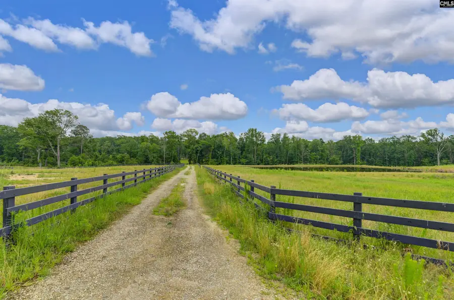 2544 Wessinger Road, Chapin, SC 29036 - Image #2