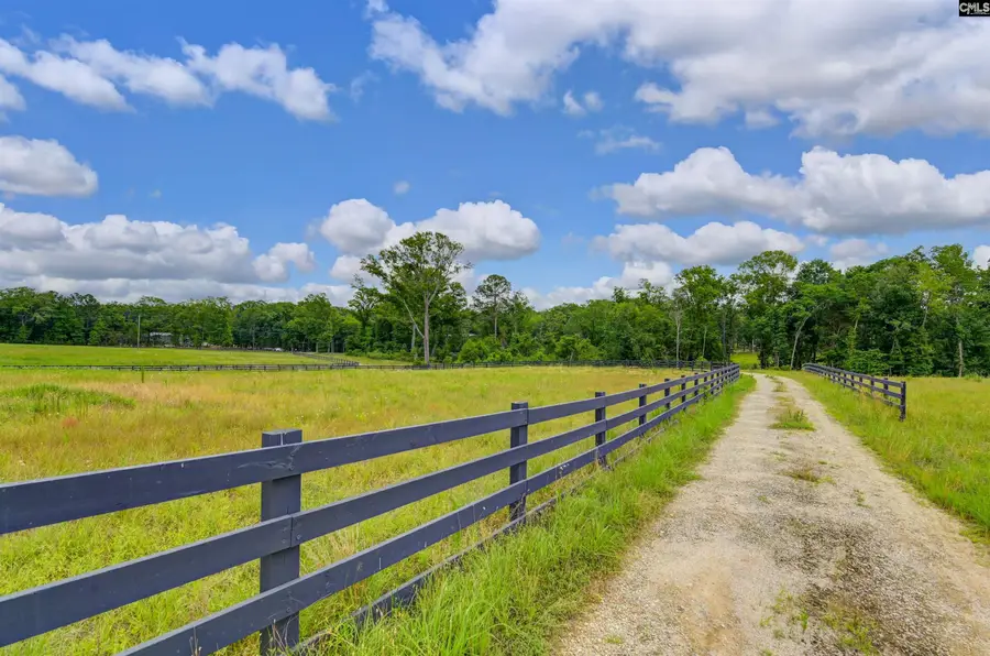 2544 Wessinger Road, Chapin, SC 29036 - Image #3