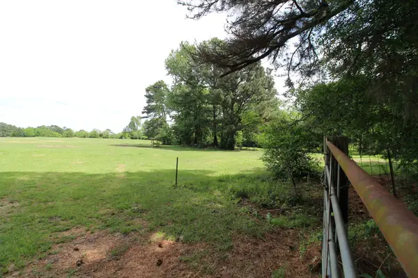0 Eqypt Hill Road, Plain Dealing, LA 71064