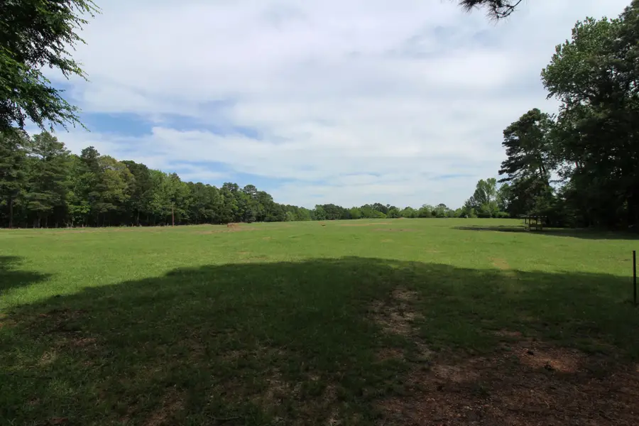 0 Eqypt Hill Road, Plain Dealing, LA 71064 - #3