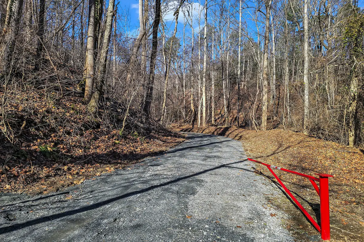 6617 Green River Cove Road, Saluda, NC 28773 - Image #1