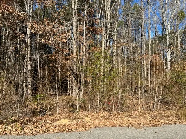 Tbd Parker Street, Ahoskie, NC 27910 - Image #1