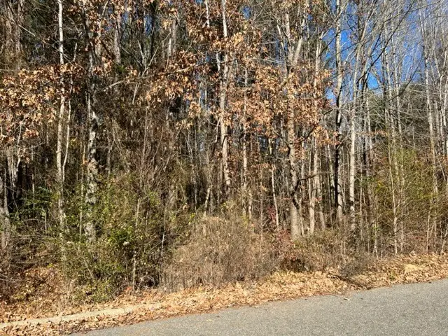 Tbd Parker Street, Ahoskie, NC 27910 - Image #2