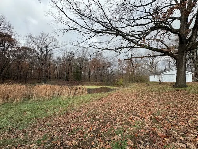 5267 Old North Road, Christopher, IL 62822 - #3