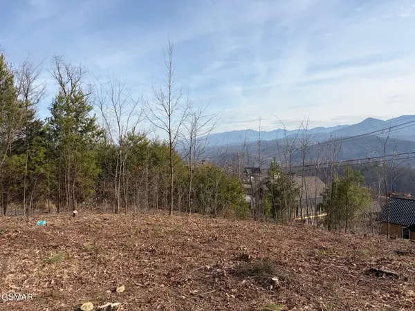 730 Wiley Oakley Drive, Gatlinburg, TN 37738