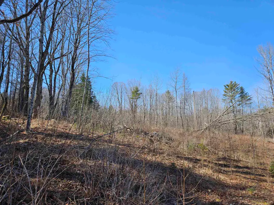 324 Crane Hill Road, Sugar Hill, NH 03486 - #3