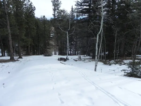 372 Vindicator Drive, Cripple Creek, CO 80813