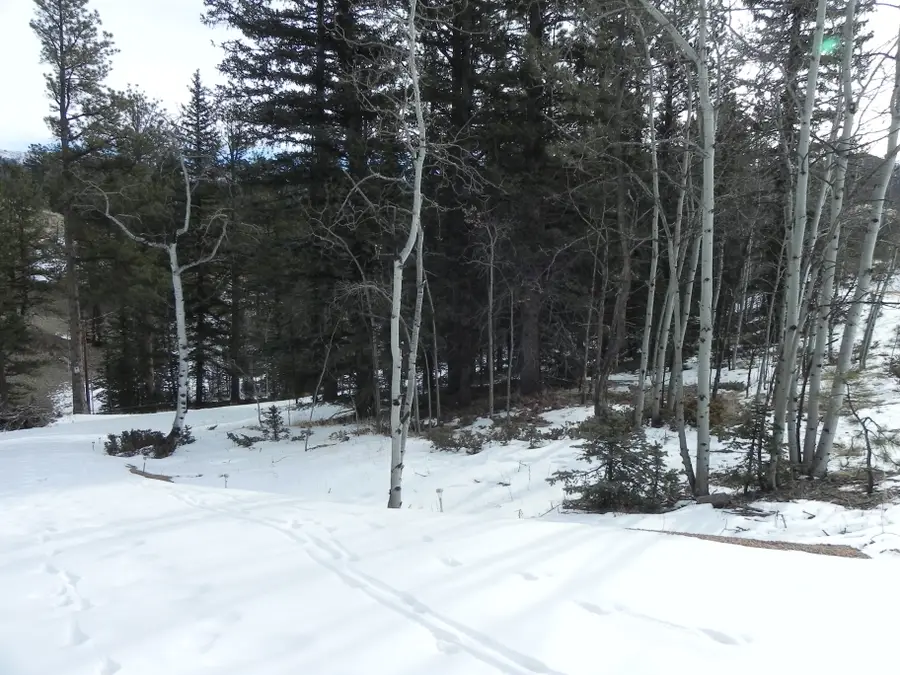 372 Vindicator Drive, Cripple Creek, CO 80813 - #2