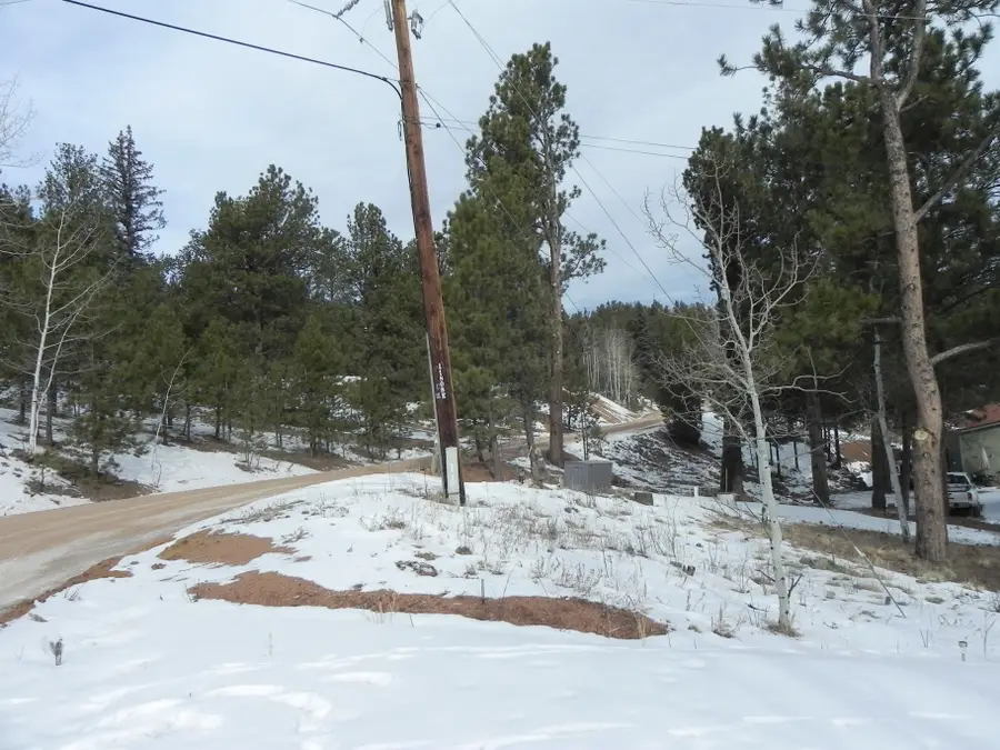372 Vindicator Drive, Cripple Creek, CO 80813 - #3