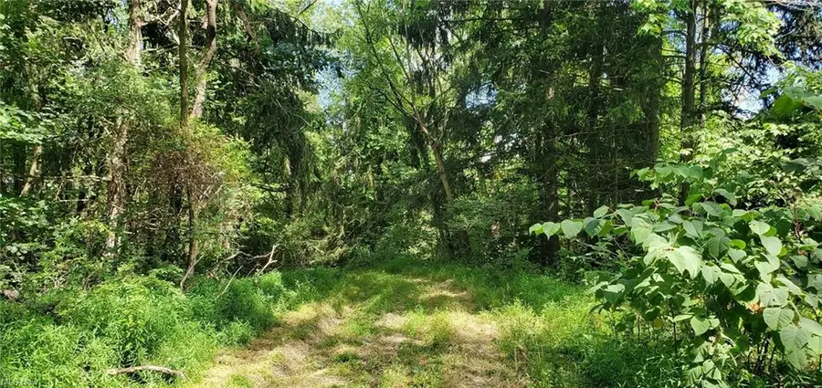 TBD Fairview Road, Chester, WV 26034 - #2