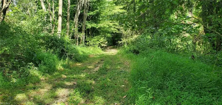 TBD Fairview Road, Chester, WV 26034 - #3