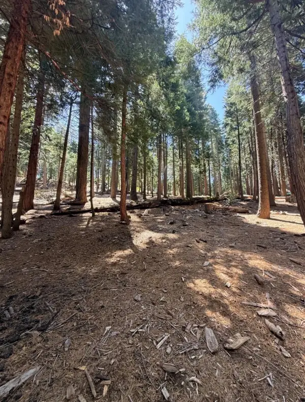 3653 Bigfoot Circle, Arnold, CA 95223