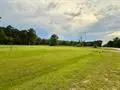 11553 Fm 2937, Silsbee, TX 77656 - #1