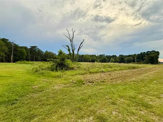 11553 Fm 2937, Silsbee, TX 77656 - #2