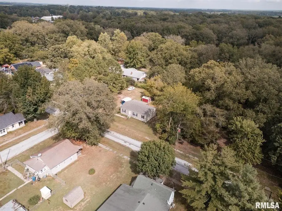 344 N Seba Street, Hurst, IL 62949 - Image #2