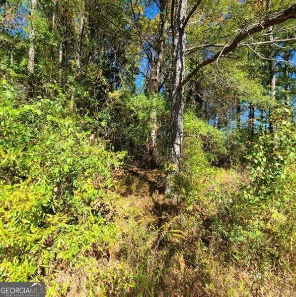 0 Scarlett Lane, Rome, GA 30161 - Image #3