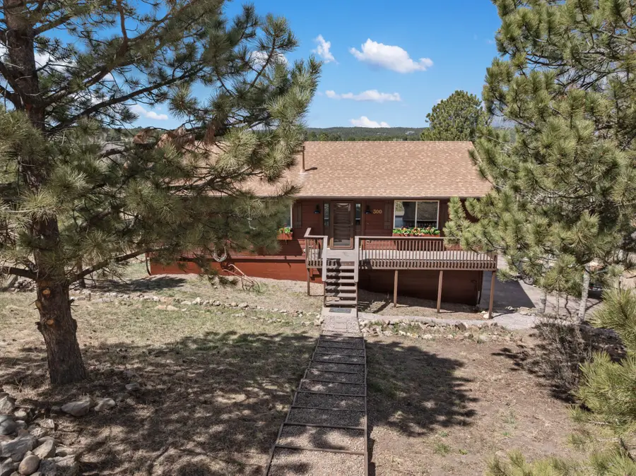 300 Piney Point, Woodland Park, CO 80863 - #2