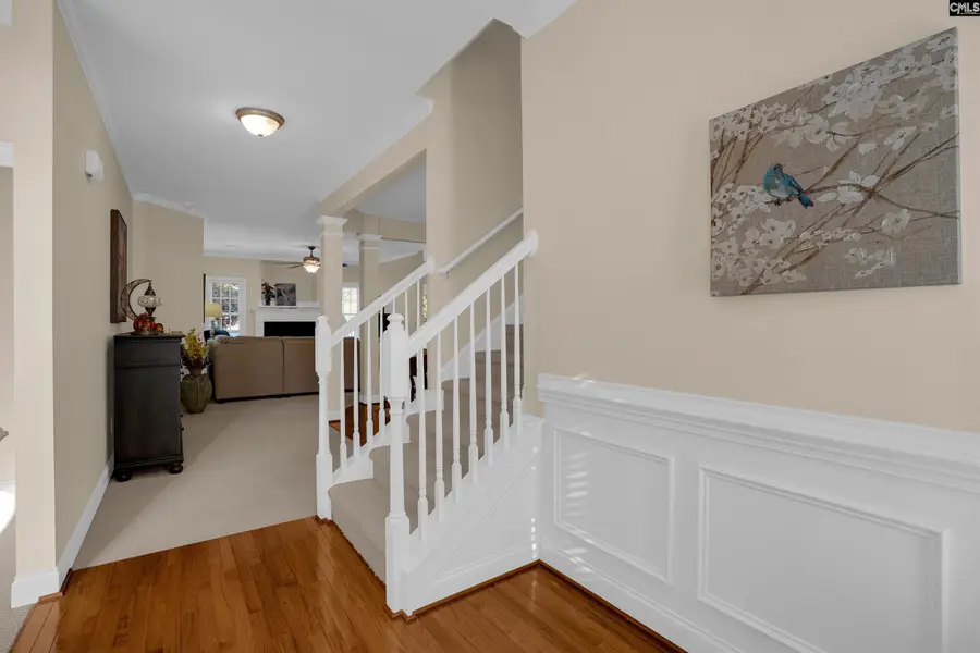 227 Fairway Ridge Drive, Chapin, SC 29036 - #3