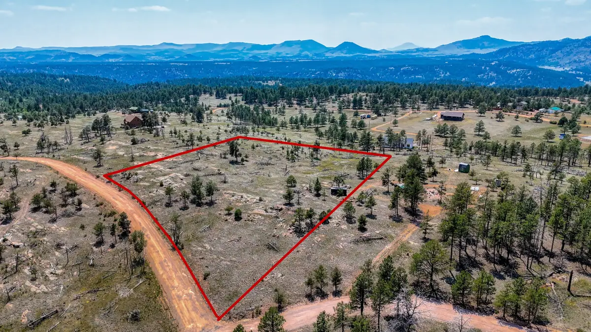 617 Chateau Vista, Florissant, CO 80816 - #1