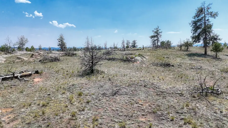 617 Chateau Vista, Florissant, CO 80816 - #3