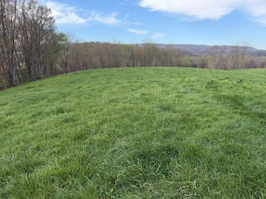 1999 Snake Run Rd, Alderson, WV 24910 - #3