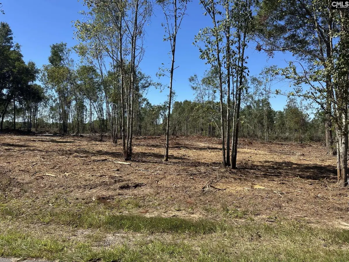 0 Sc Hwy 773, Pomaria, SC 29126 - Image #1