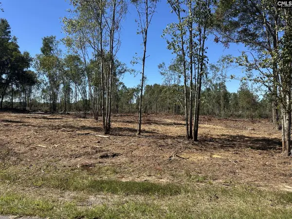 0 Sc Hwy 773, Pomaria, SC 29126