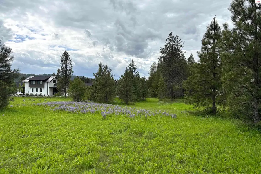 Lot 11 Hewitt Lane, Dover, ID 83825 - #3