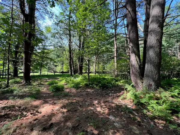 Lot 47.3 High Road, Glen Spey, NY 12737