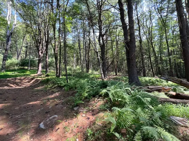Lot 47.3 High Road, Glen Spey, NY 12737 - #3
