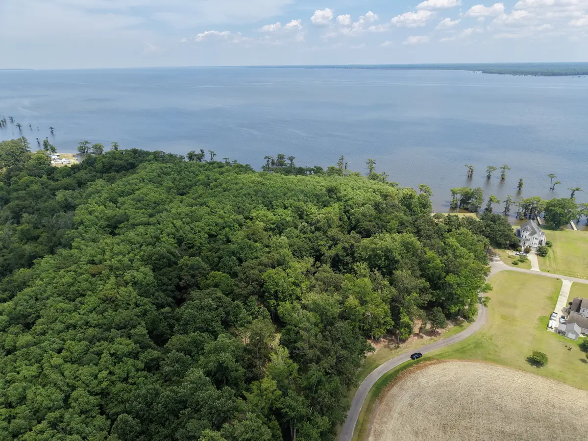 462 Batchelor Bay Drive, Windsor, NC 27983 - #1