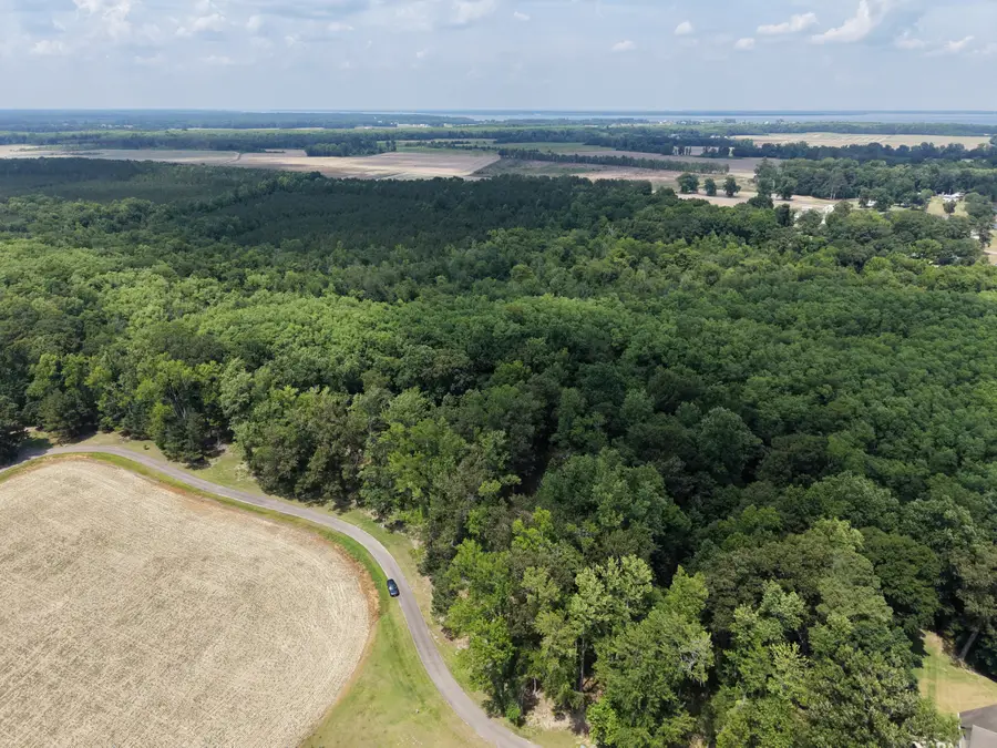462 Batchelor Bay Drive, Windsor, NC 27983 - #3