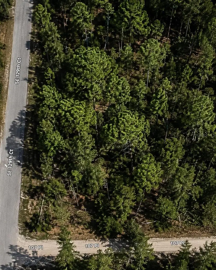 0000 SE 129th Court, Dunnellon, FL 34431 - #2