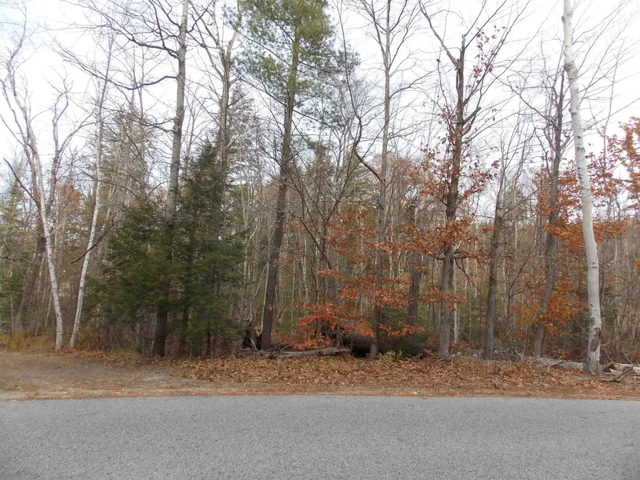 Lot 49 Mittenwald Strasse Road, Bartlett, NH 03812 - #3