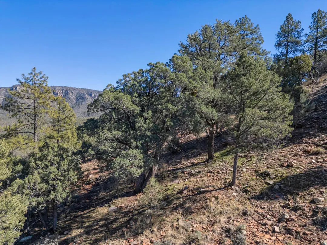 Lot 163 N Portal Drive #163, Pine, AZ 85544 - #1
