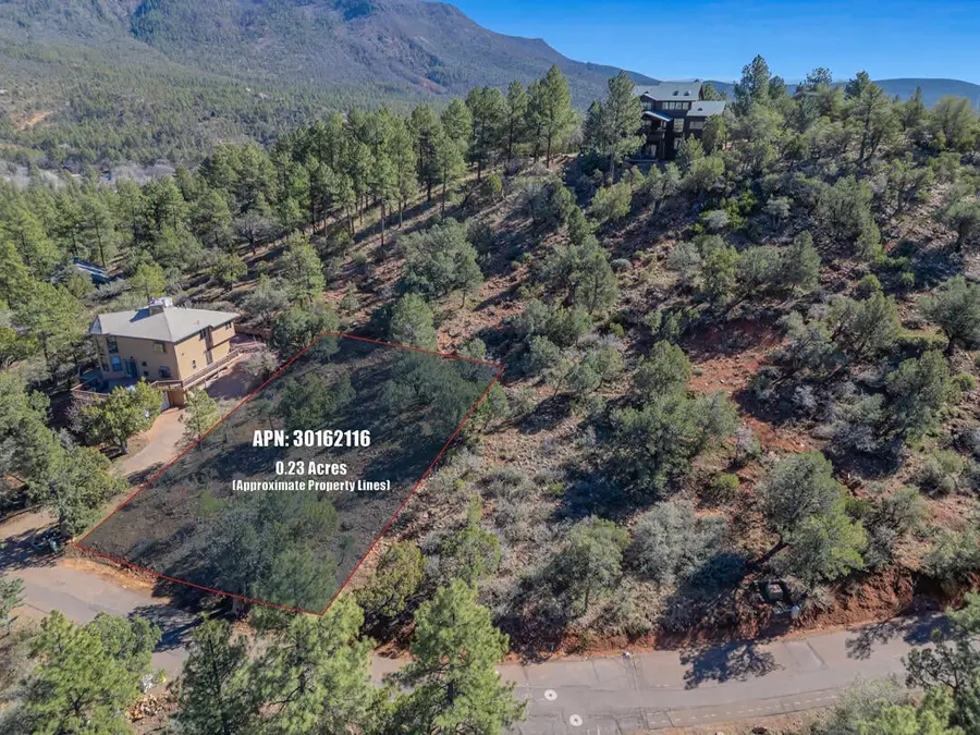 Lot 163 N Portal Drive #163, Pine, AZ 85544 - #2
