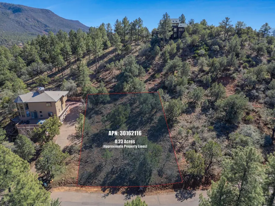 Lot 163 N Portal Drive #163, Pine, AZ 85544 - #3