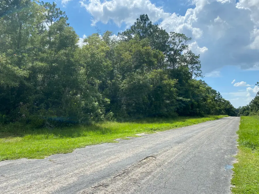 8739 N Upland Drive, Citrus Springs, FL 34434 - #2