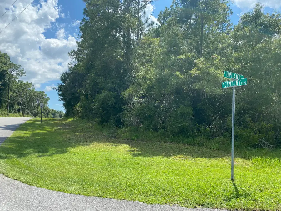 8739 N Upland Drive, Citrus Springs, FL 34434 - #3