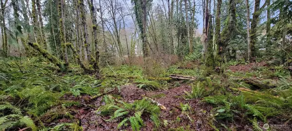 0 Nevada Ave & Michigan Street, Manchester, WA 98353