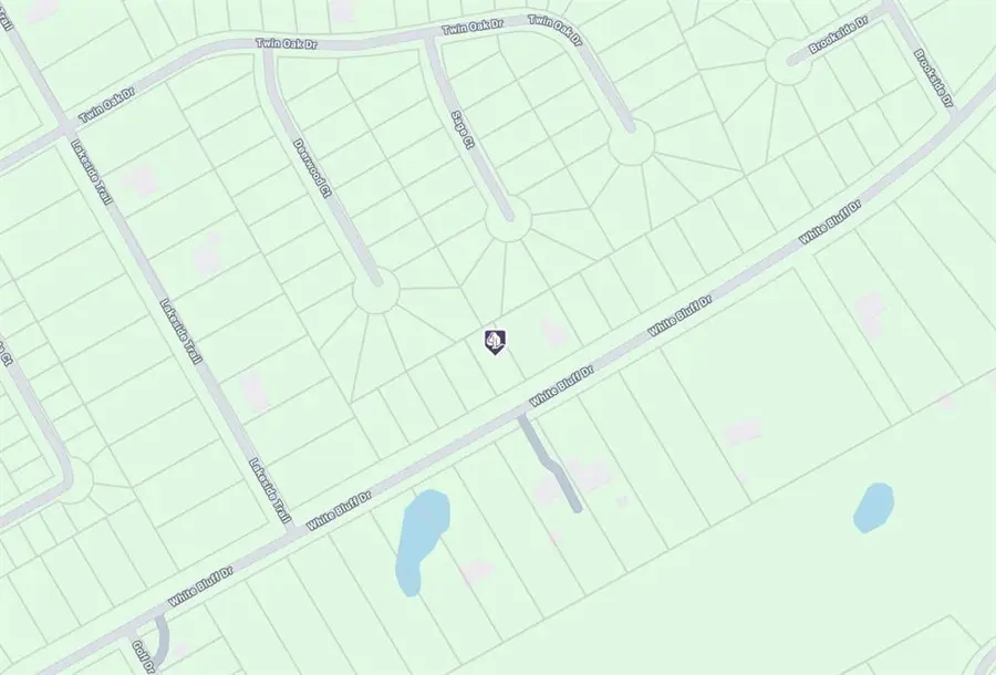 1533 White Bluff Drive, Whitney, TX 76692 - Image #3