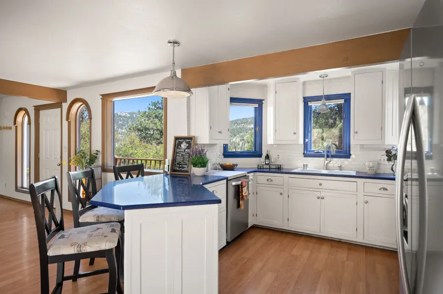 5939 S Skyline Drive, Evergreen, CO 80439 - #3